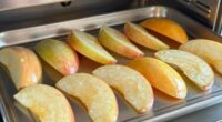 dehydrator batch snack trick