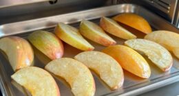 dehydrator batch snack trick
