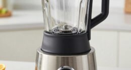 avoid costly stainless steel blenders