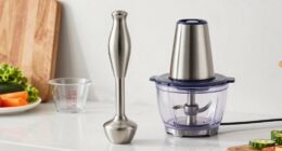 beginner immersion blender guide