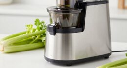 celery juicer buying guide