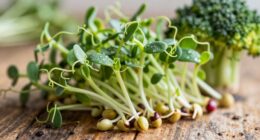 first sprouts for raw diets
