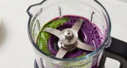 high power blender settings