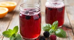 homemade sparkling vinegar drinks