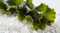seaweed and salt iodine