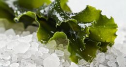 seaweed and salt iodine