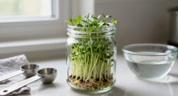 sprouting safety for beginners