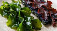 using seaweed in cooking