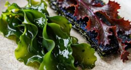 using seaweed in cooking