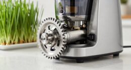wheatgrass juicer specification checklist