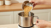 10 Best Best Soy Milk Maker in 2026