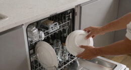 10 Best Countertop Dishwasher for Apartments in 2026