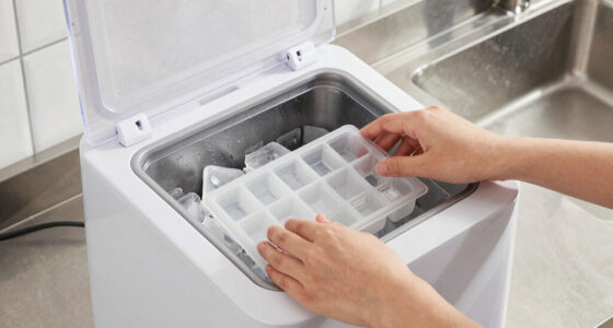 11 Best Best Clear Ice Maker Machine in 2026