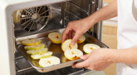 11 Best Rear Fan Dehydrator for Even Drying in 2026