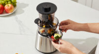 12 Best Best Juicer With Self Feeding Hopper in 2026