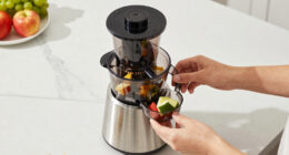 12 Best Best Juicer With Self Feeding Hopper in 2026