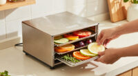 12 Best Large Capacity Dehydrator in 2026