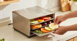 12 Best Large Capacity Dehydrator in 2026