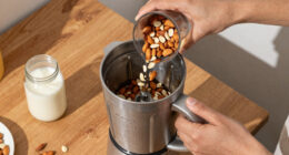 12 Best Plant Milk Blenders in 2026