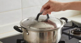 15 Best Best Steamer Pot Stainless Steel in 2026