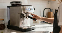 7 Best Bean To Cup Espresso Machine Premium in 2026