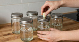 9 Best Best Fermentation Jar Set With Airlock Premium in 2026