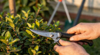 11 Best Gardening Pruning Knives in 2026