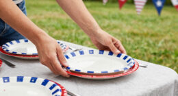 13 Best Patriotic Themed Party Plates in 2026