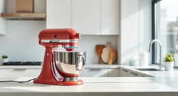 How to Clean a KitchenAid Professional 600 Mixer Safely
