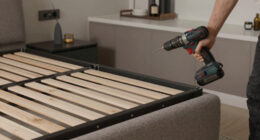 13 Best Murphy Beds in 2026
