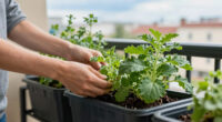 13 Best Vertical Garden Planters in 2026