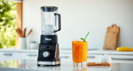 Best Accessories for Your Ninja SLUSHi Frozen Drink Maker This Summer