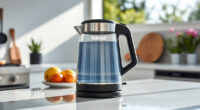 Must-Have Summer Accessories for Your Ninja KT200BL Electric Kettle