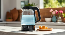 Summer Care Tips for Your Ninja KT200BL Precision Temperature Kettle