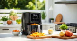 Summer Care & Troubleshooting for the Ninja DoubleStack XL Air Fryer