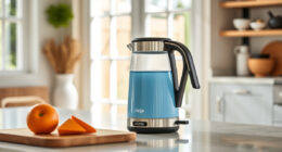Summer Sips Made Perfect: How to Maximize Your Ninja KT200BL Electric Kettle